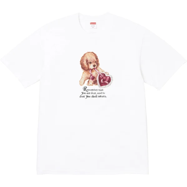 Supreme Dust Tee - White (front)