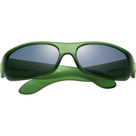 Supreme Dutch Sunglasses Olive