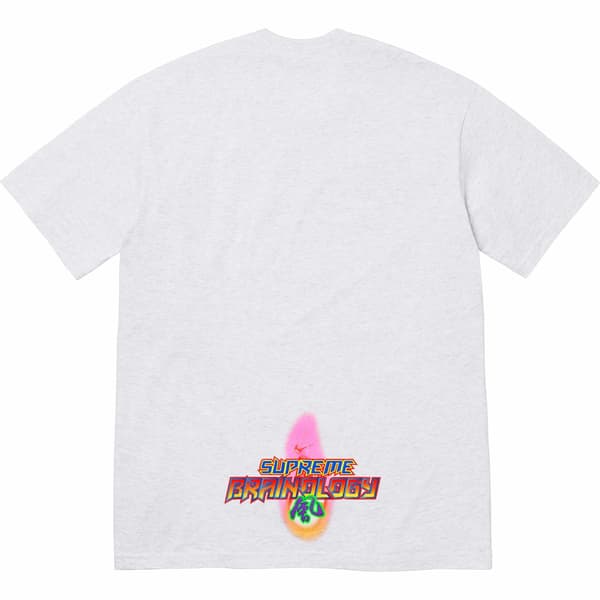 Supreme Electromagnetic Tee - Ash Grey (front)