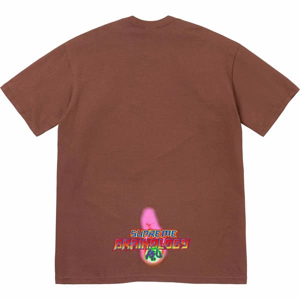 Supreme Electromagnetic Tee - Brown (front)