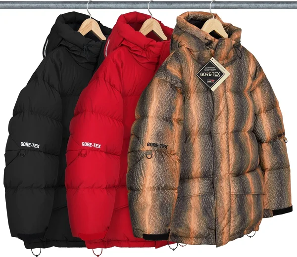 Supreme GORE-TEX 900-Fill Down Parka - Product Image