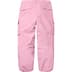 Supreme GORE-TEX Cargo Pant - Mauve (front)