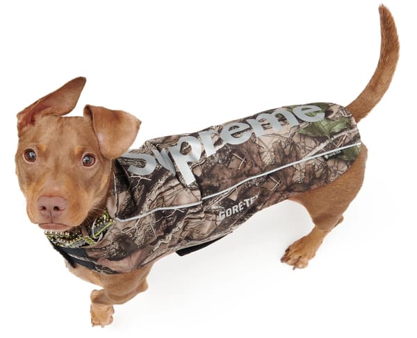 Supreme GORE-TEX Dog Jacket - TrueTimber® HTC Fall Camo (front)