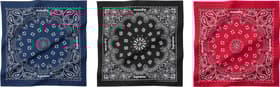 Supreme Hav-A-Hank Bandanas (Pack of 3) Multicolor