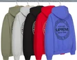 Supreme Immortal Hooded Sweatshirt