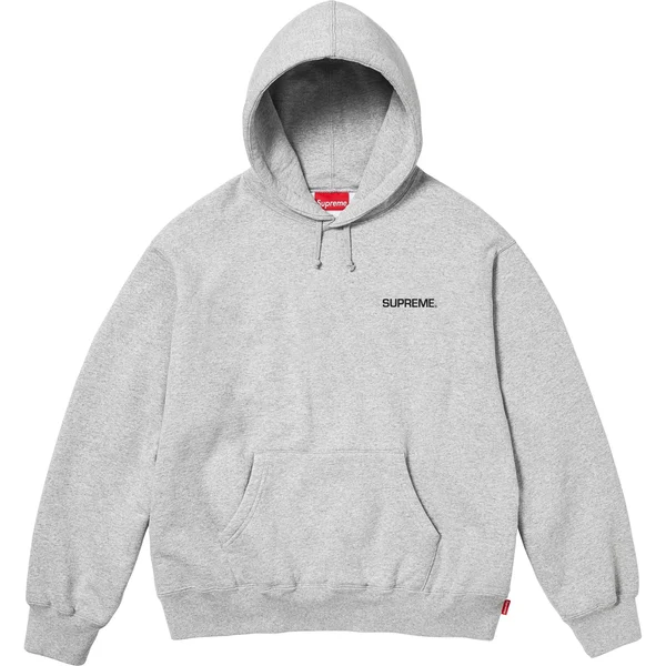 Supreme Immortal Hooded Sweatshirt - Heather Grey (front)