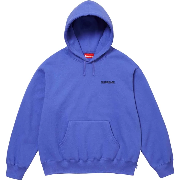 Supreme Immortal Hooded Sweatshirt - Violet (front)