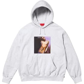 Supreme Jane&#39;s Addiction Hooded Sweatshirt Ash Grey