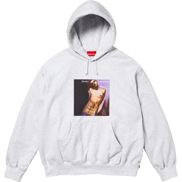 Supreme Jane's Addiction Hooded Sweatshirt - Ash Grey (front)