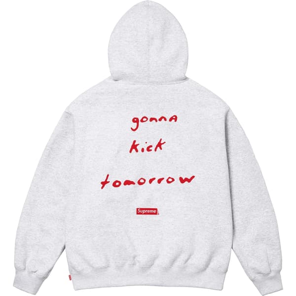 Supreme Jane's Addiction Hooded Sweatshirt - Ash Grey (front)