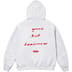 Supreme Jane's Addiction Hooded Sweatshirt - Ash Grey (front)