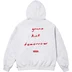 Supreme Jane's Addiction Hooded Sweatshirt - Ash Grey (front)