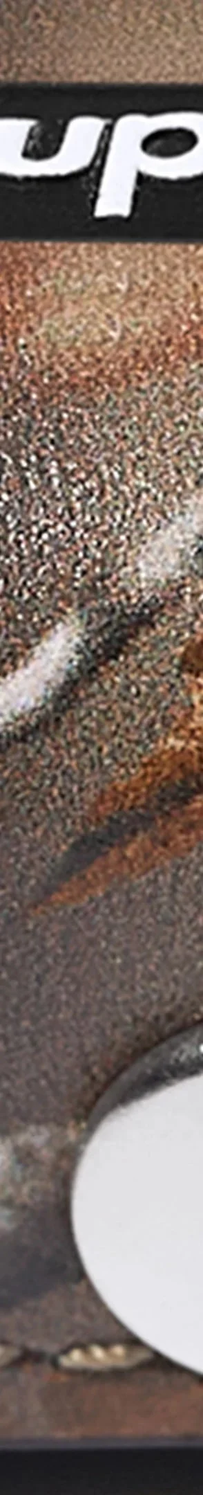 Supreme Leather Dice Set - Realtree® AP Camo (front)