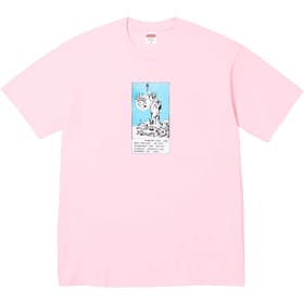 Supreme Liberty Tee Light Pink