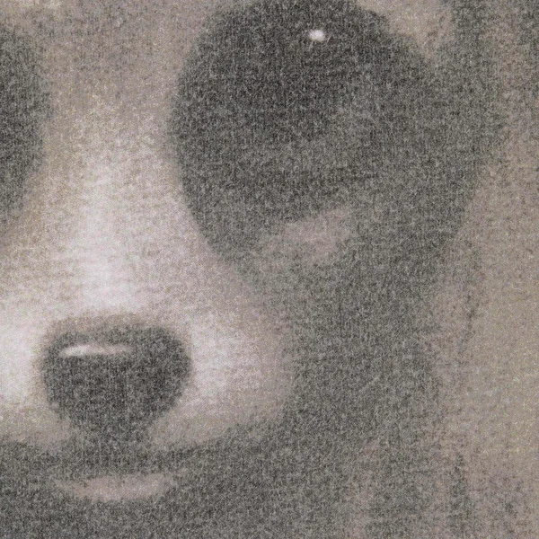 Supreme Margaret Keane Best Friends S/S Top - Grey (front)