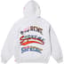 Supreme Multi Logos Hooded Sweatshirt - Ash Grey (front)