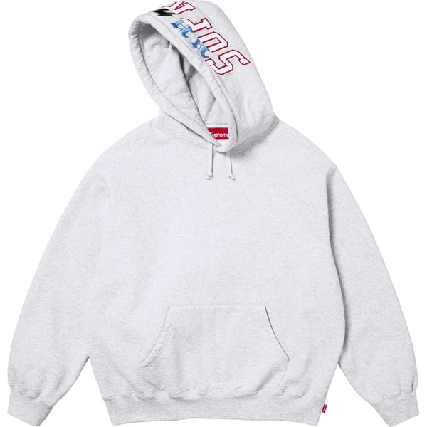 Supreme Multi Logos Hooded Sweatshirt - Ash Grey (front)