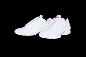 Supreme Nike Courtposite courtposite_2