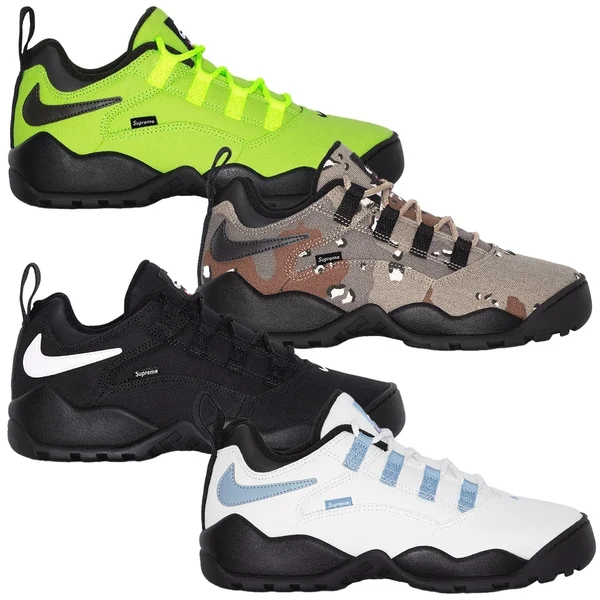 Supreme Nike SB Darwin Low - Product Image