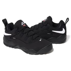 Supreme Nike SB Darwin Low Black