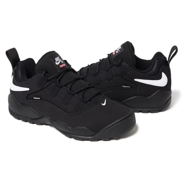 Supreme Nike SB Darwin Low - Black (front)