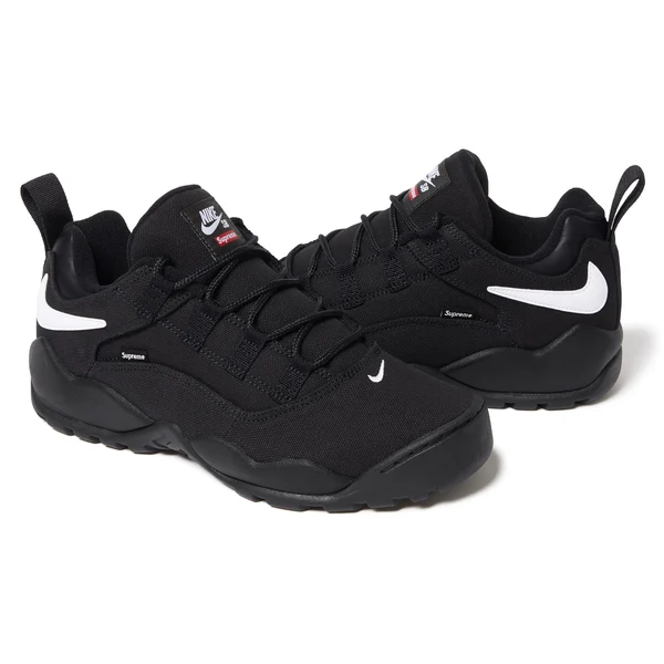 Supreme Nike SB Darwin Low - Black (front)