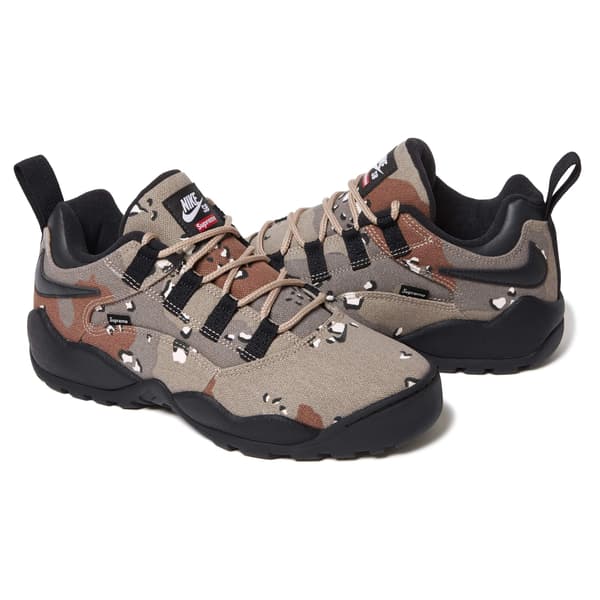 Supreme Nike SB Darwin Low - Desert Camo (front)