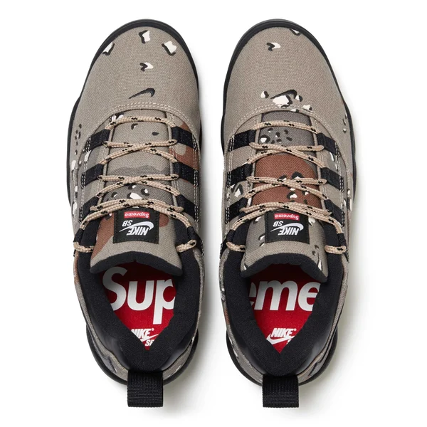 Supreme Nike SB Darwin Low - Desert Camo (front)