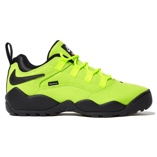 Supreme Nike SB Darwin Low - Green (front)