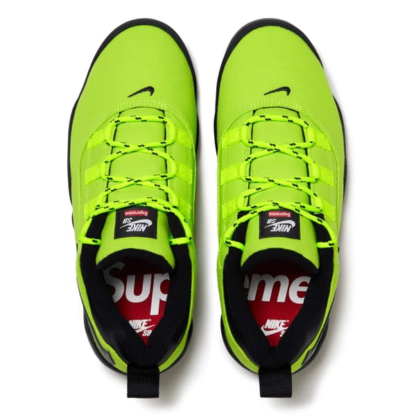 Supreme Nike SB Darwin Low - Green (front)