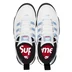 Supreme Nike SB Darwin Low - nikesb_darwin_lowsb_5 (front)