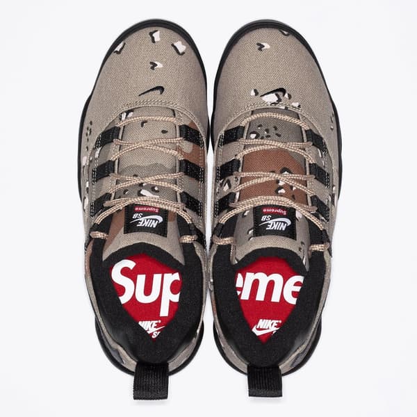 Supreme Nike SB Darwin Low - nikesb_darwin_lowsb_6 (front)