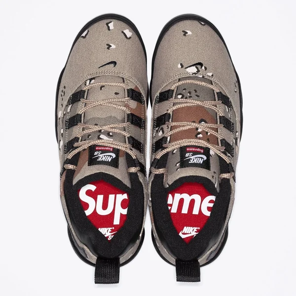 Supreme Nike SB Darwin Low - nikesb_darwin_lowsb_6 (front)