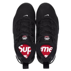 Supreme Nike SB Darwin Low nikesb_darwin_lowsb_7