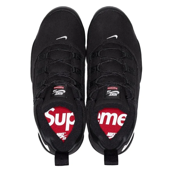 Supreme Nike SB Darwin Low - nikesb_darwin_lowsb_7 (front)