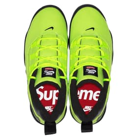 Supreme Nike SB Darwin Low nikesb_darwin_lowsb_8