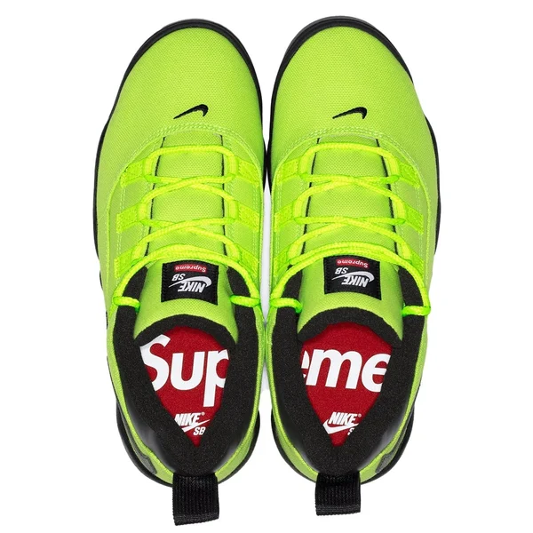 Supreme Nike SB Darwin Low - nikesb_darwin_lowsb_8 (front)