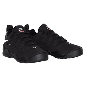 Supreme Nike SB Darwin Low nikesbdarwin_low_4