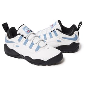 Supreme Nike SB Darwin Low White