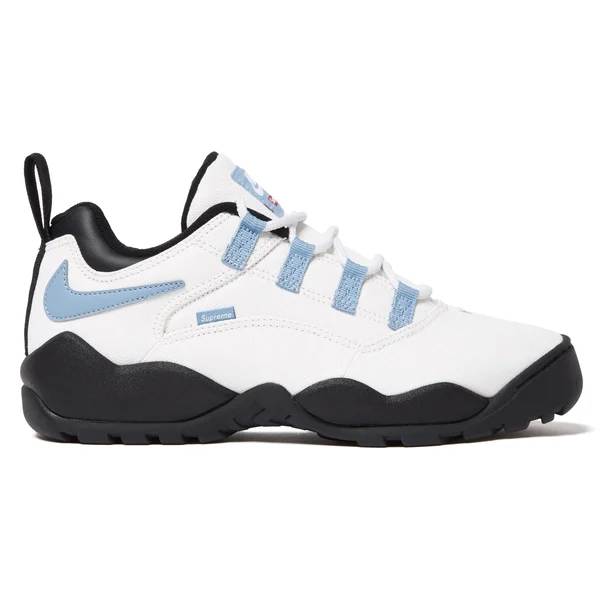 Supreme Nike SB Darwin Low - White (front)