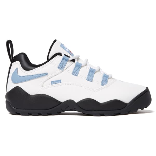 Supreme Nike SB Darwin Low - White (front)