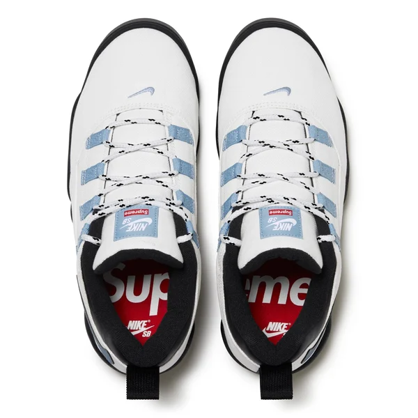 Supreme Nike SB Darwin Low - White (front)