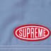 Supreme Nylon Painter Short - Light Slate (front)