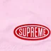Supreme Nylon Painter Short - Pale Pink (front)