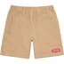 Supreme Nylon Painter Short - Tan (front)