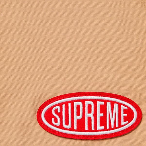 Supreme Nylon Painter Short - Tan (front)