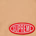Supreme Nylon Painter Short - Tan (front)