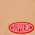 Supreme Nylon Painter Short - Tan (front)
