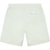 Supreme Nylon Water Short - Pale Mint (front)