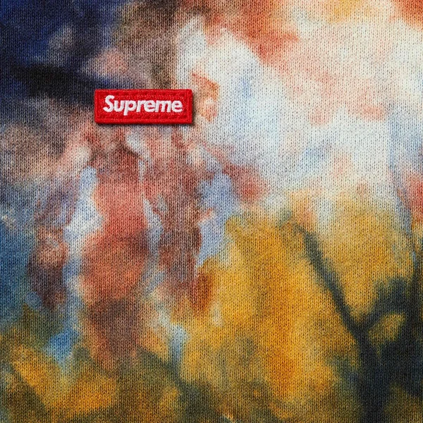 Supreme Overdyed Small Box Zip Up Hooded Sweatshirt - Multicolor (front)